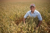 Украинские фермеры будут получать помощь от государства