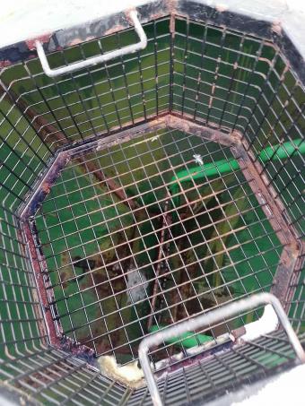 Пропашная сеялка Great Plains YP 4025F – 1670 foto 35